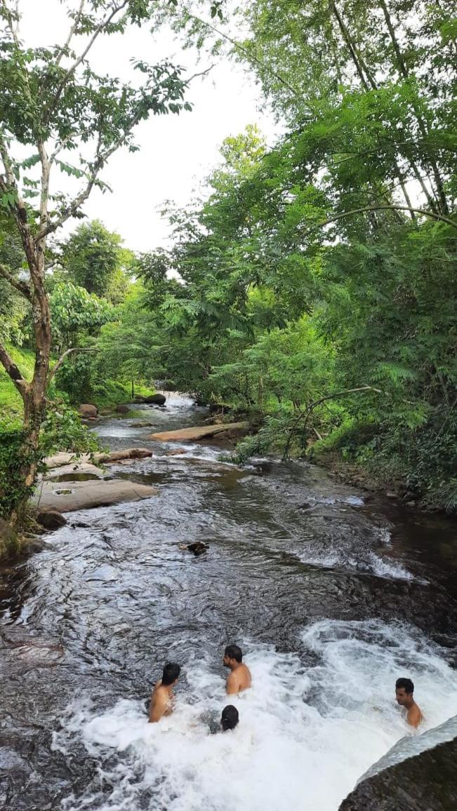 Wildglamps Athirappilly Hotel Bagian luar foto