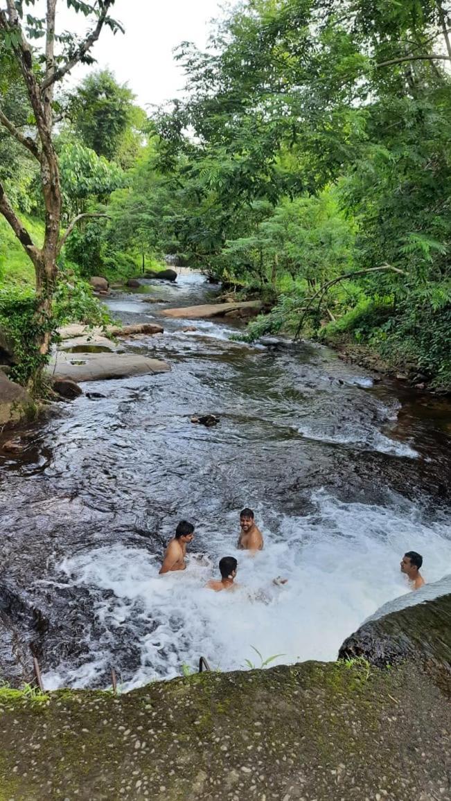 Wildglamps Athirappilly Hotel Bagian luar foto